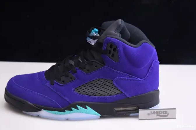 Grape 136027-500 Alternate 5 Retro Jordan Air 0509